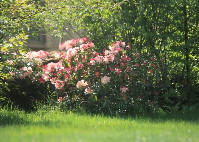 Bellmann * Prinzenmoor